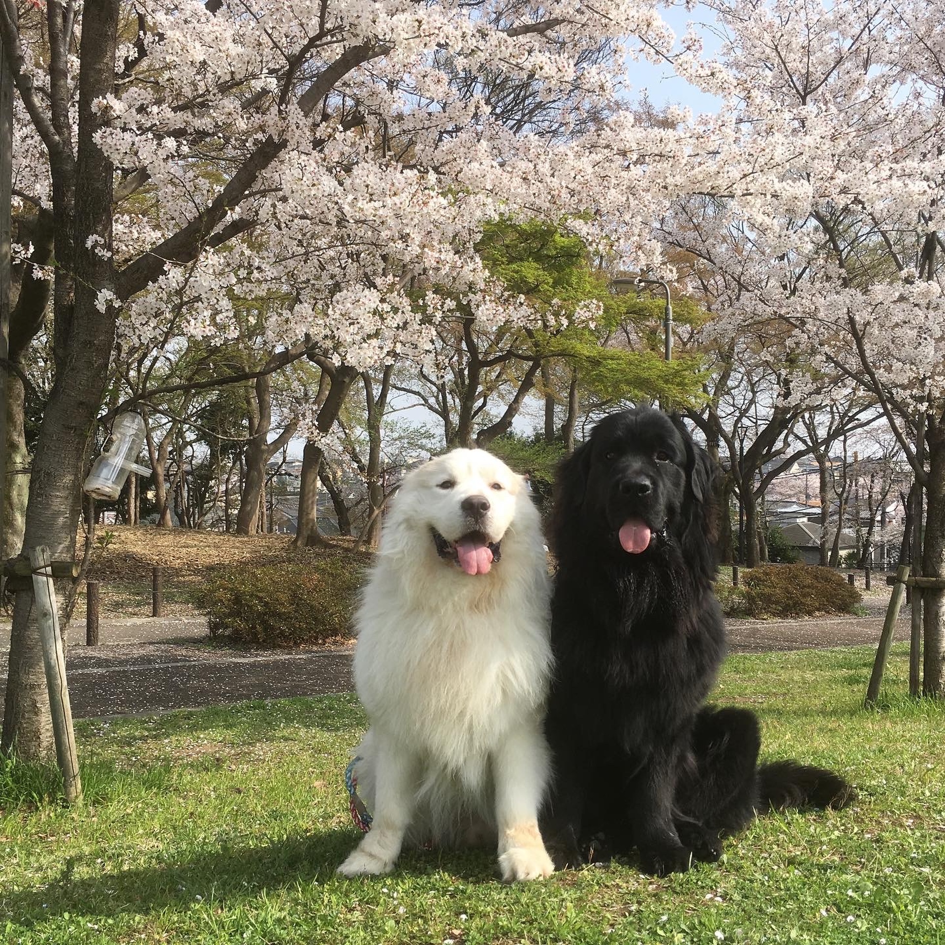 メインビジュアル1