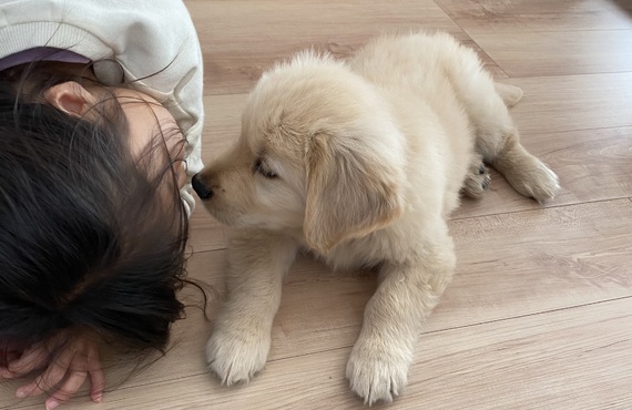 小さな子犬の時期からのレッスンに対応 |練馬区近郊のドッグスクールならドッグトレーニングFOCUS
