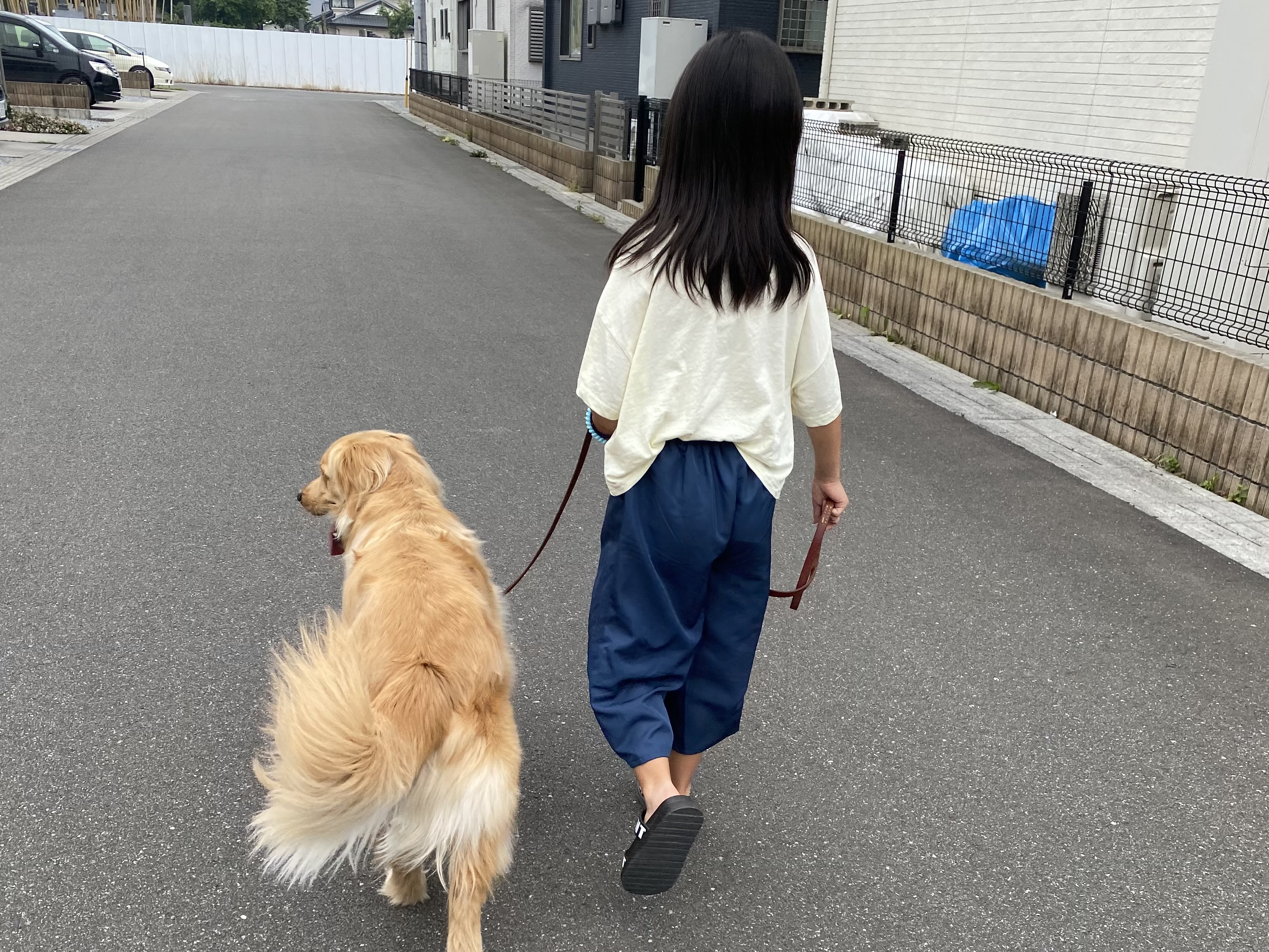 AdobeStock_28261431