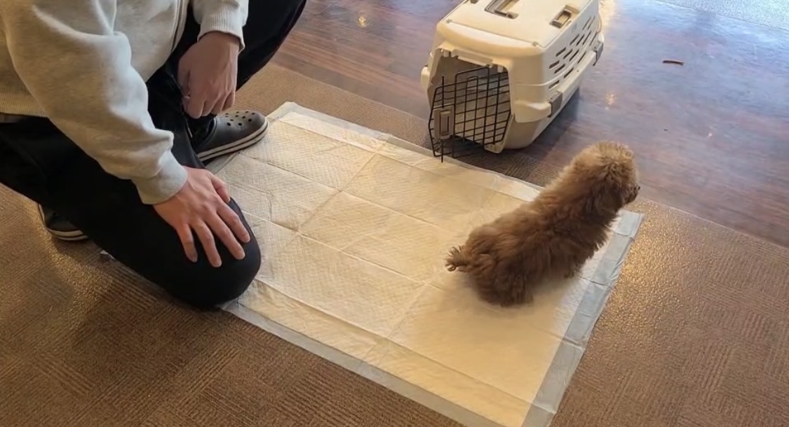ダウンロード (3)